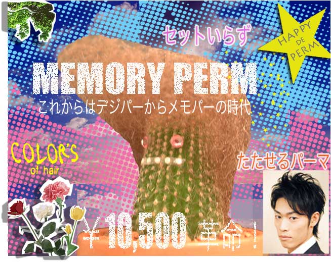 メモリーパーマ